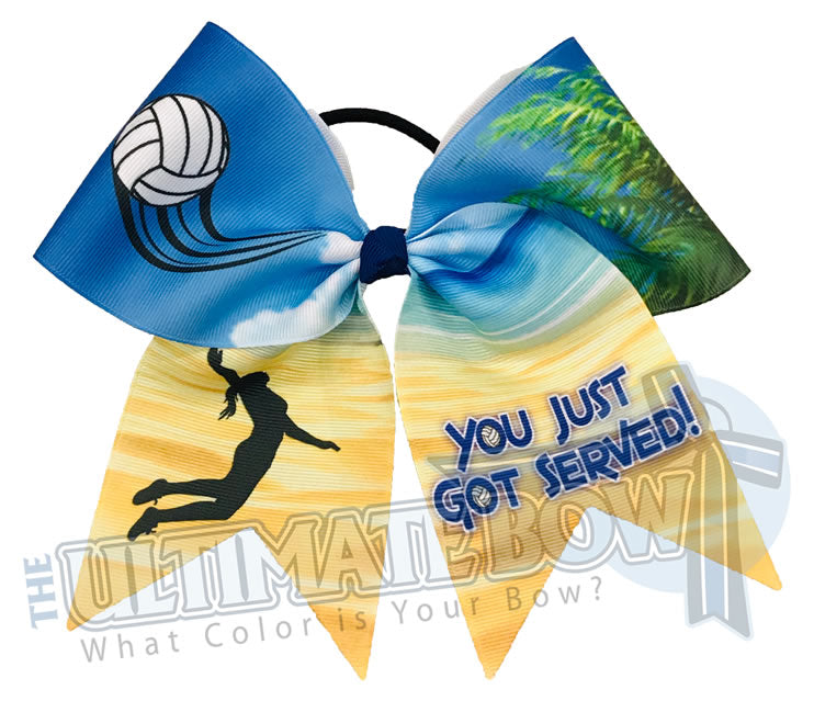 You Just Got Served Volleyball Hair Bow