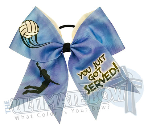 You Just Got Served Volleyball Hair Bow | Pink Volleyball Hair Bow  | You Just Got Served | Blue Volleyball Bow